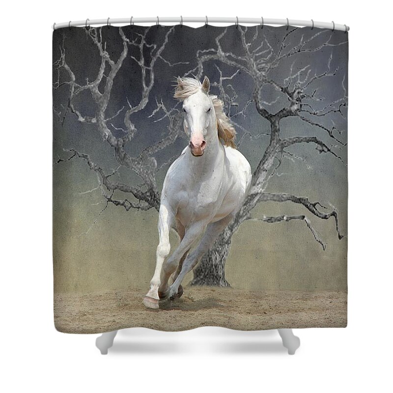 Animal Shower Curtain featuring the photograph On The Run by Davandra Cribbie