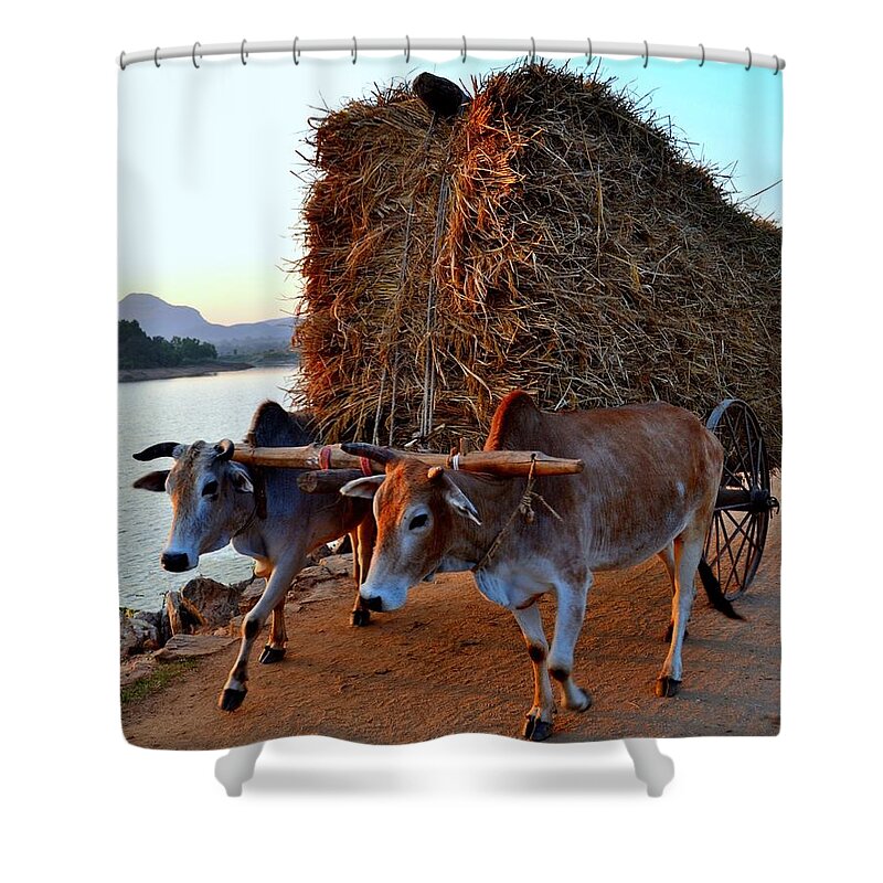 Working Animal Shower Curtain featuring the photograph On The Way Back by My Image