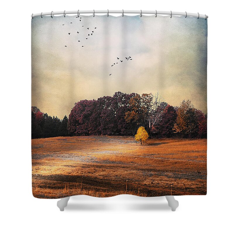 Autumn Shower Curtain featuring the photograph One and Only by Jai Johnson