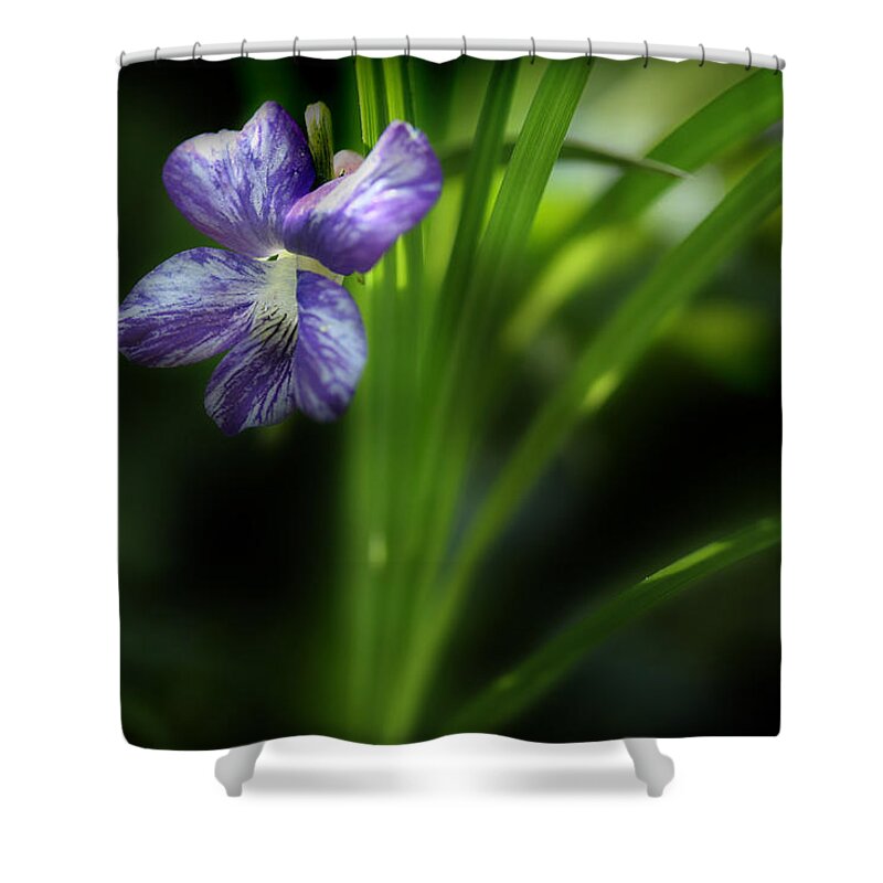 Purple Violet Shower Curtain featuring the photograph One Fine Morning by Michael Eingle