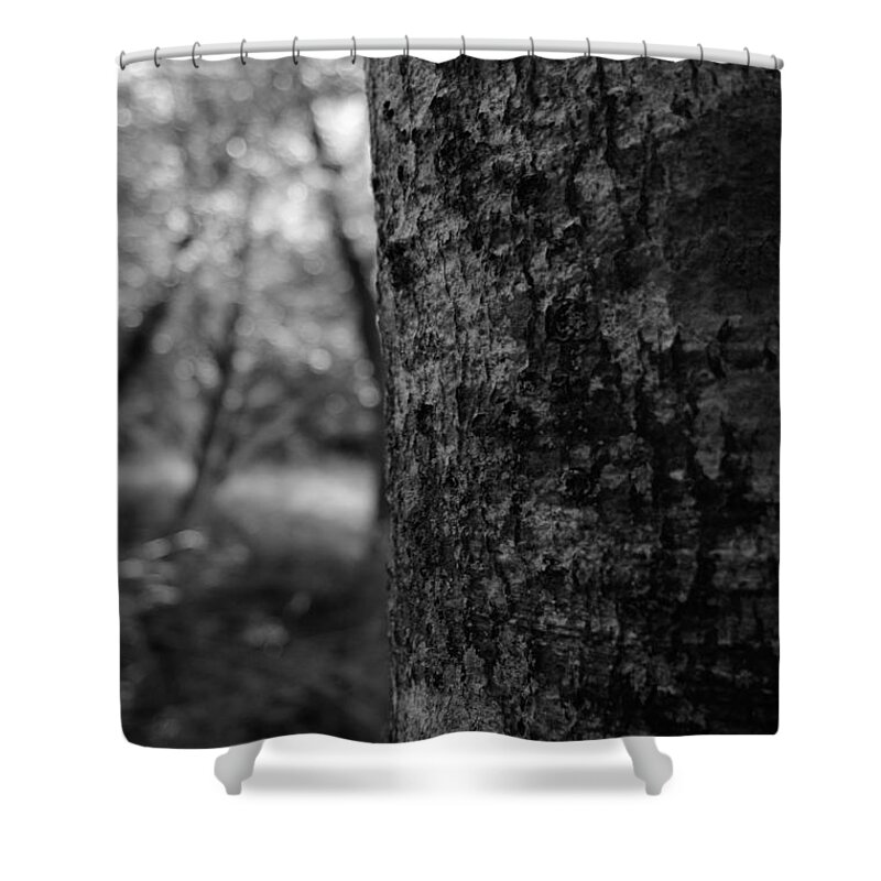 Miguel Shower Curtain featuring the photograph One in the Forest by Miguel Winterpacht