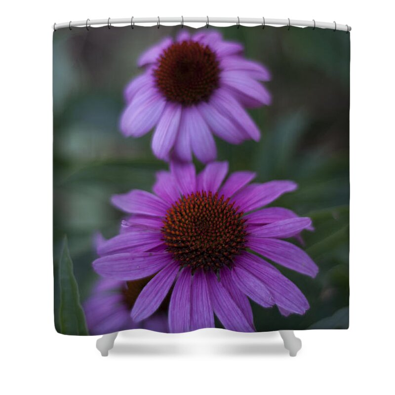 Flowers Shower Curtain featuring the photograph One is Shy by Miguel Winterpacht