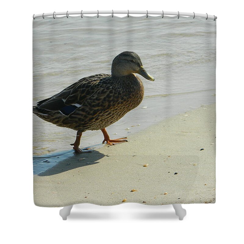 Nature Photographs Shower Curtain featuring the photograph One Step In Front of the Other by Emmy Vickers