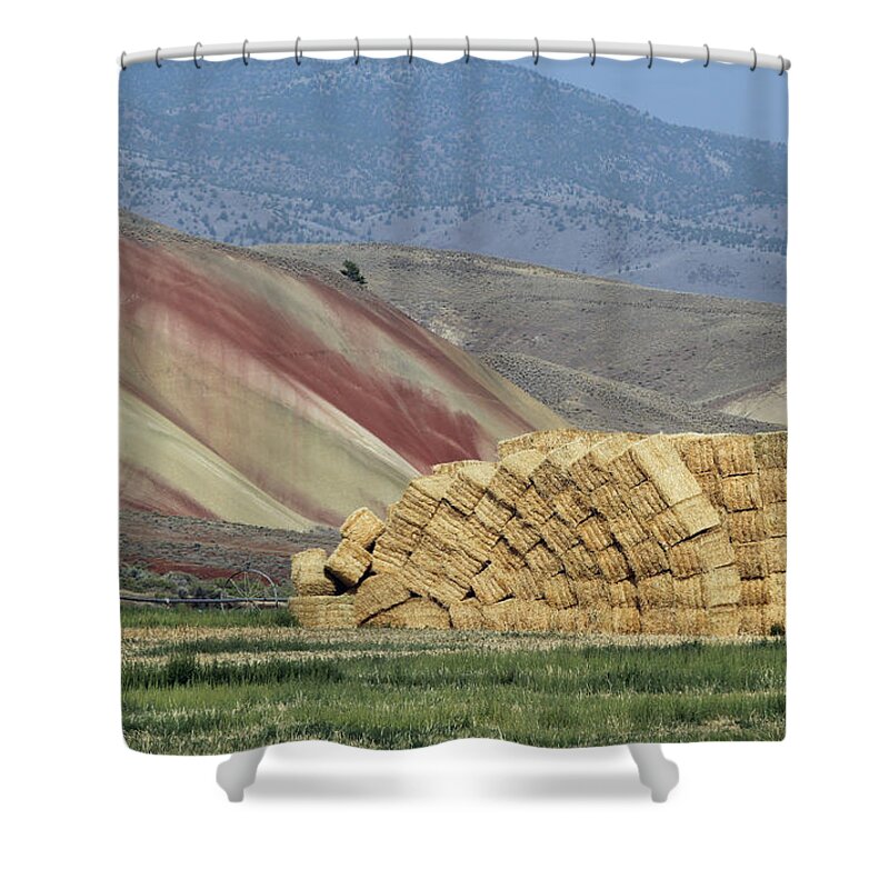 Painted Hills Of Eastern Oregon Shower Curtain featuring the photograph Oops - Something Shifted by E Faithe Lester