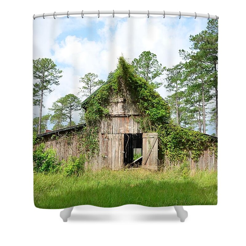 Green Shower Curtain featuring the photograph Open Doors by Bob Sample