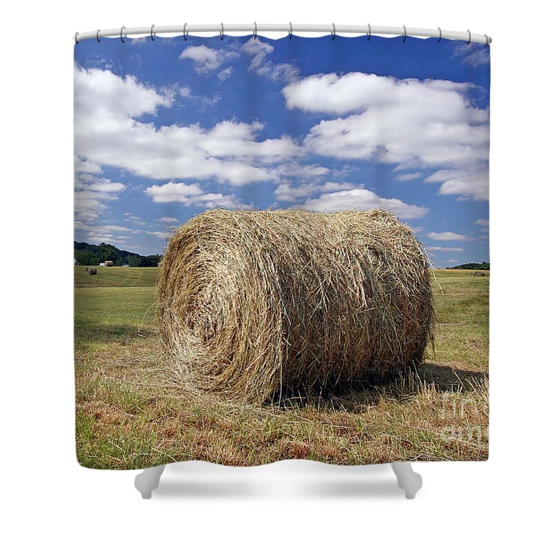 Sky Shower Curtain featuring the photograph Open Field by Geoff Crego