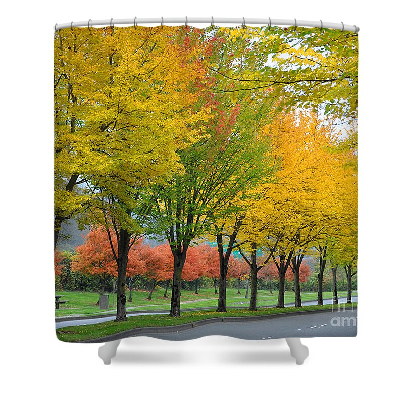 Fall Shower Curtain featuring the photograph Row Of Trees by Kirt Tisdale
