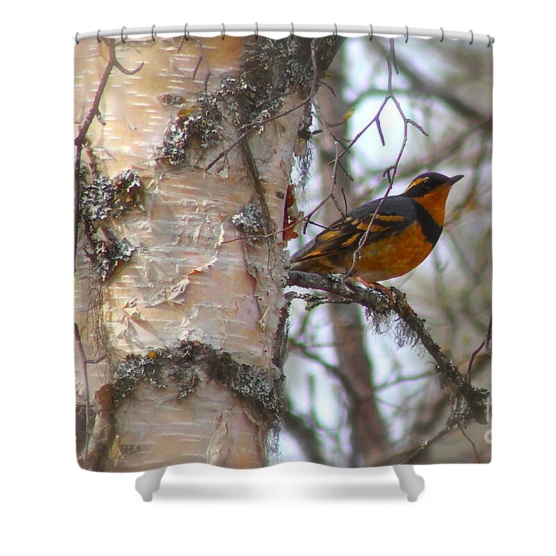 Bird Shower Curtain featuring the photograph Orange Bird by Rick Monyahan