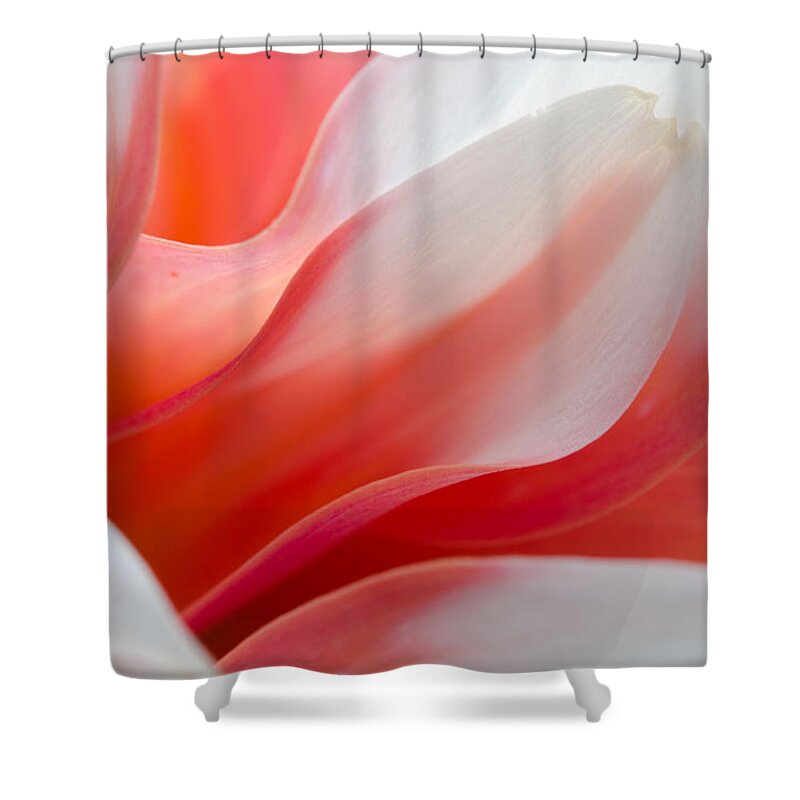 Dahlia Shower Curtain featuring the photograph Orange Dream by Kathy Paynter