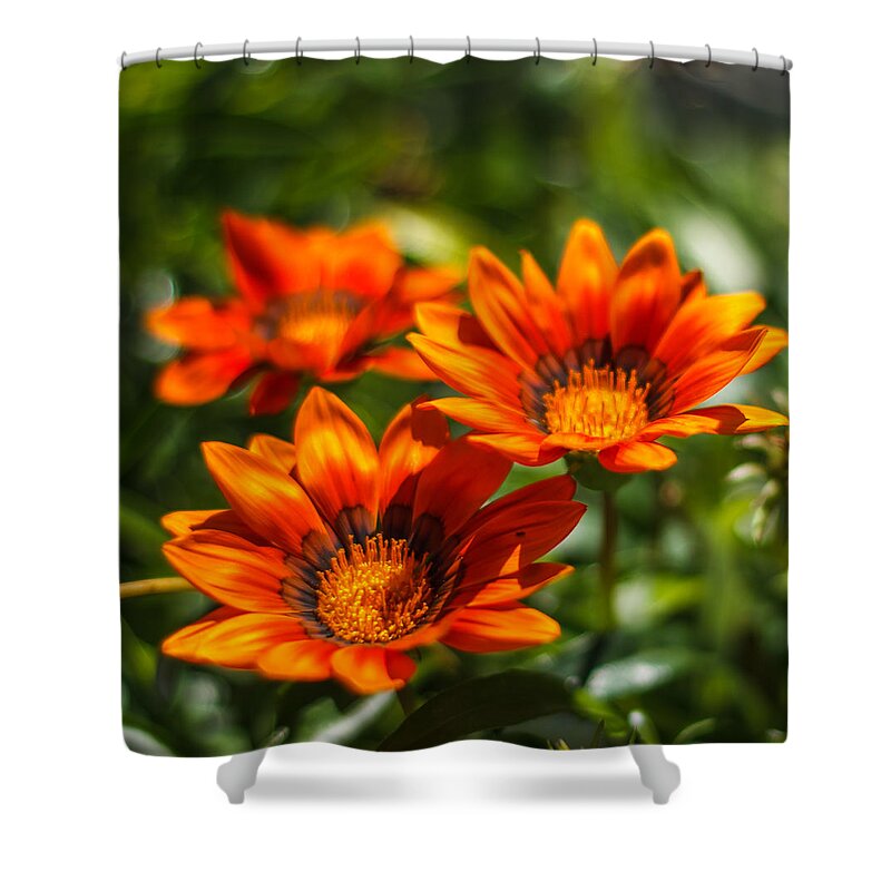 Florida Shower Curtain featuring the photograph Orange flowers by Jane Luxton