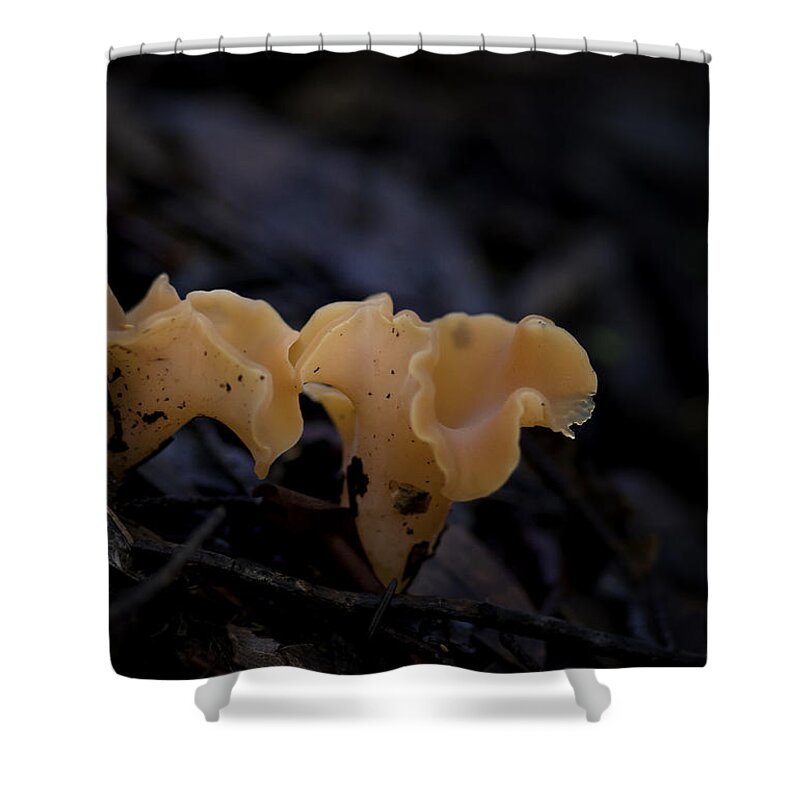Mushroom Shower Curtain featuring the photograph Orange Peel by Betty Depee