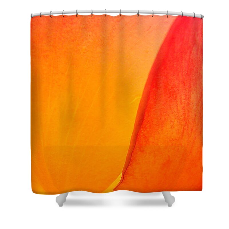 Rose Shower Curtain featuring the photograph Orange Rose Petals by Liz Vernand