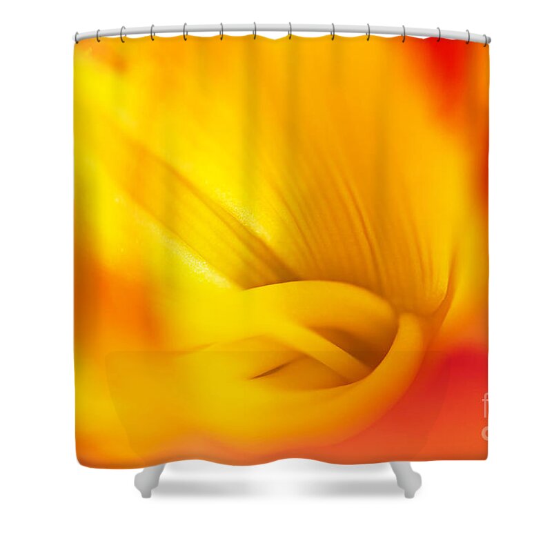 Tiger Lily Shower Curtain featuring the photograph Orange Sherbet by Gwen Gibson
