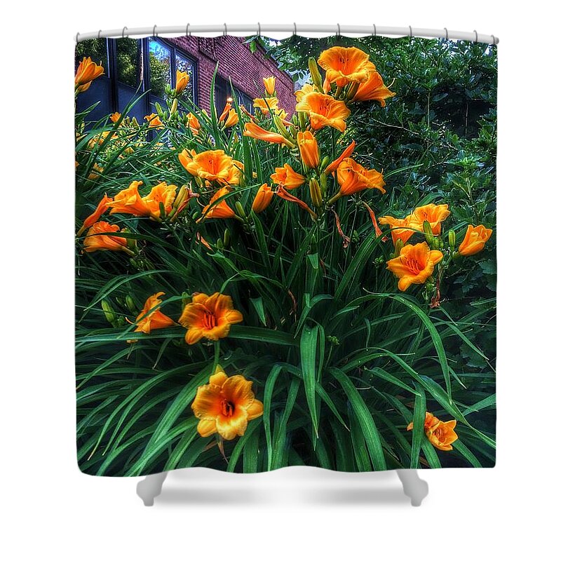 Lily Shower Curtain featuring the photograph Orange Ya Glad by Nick Heap