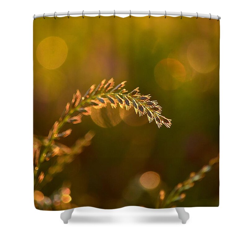 Orb Catcher Shower Curtain featuring the photograph Orb Catcher by Maria Urso