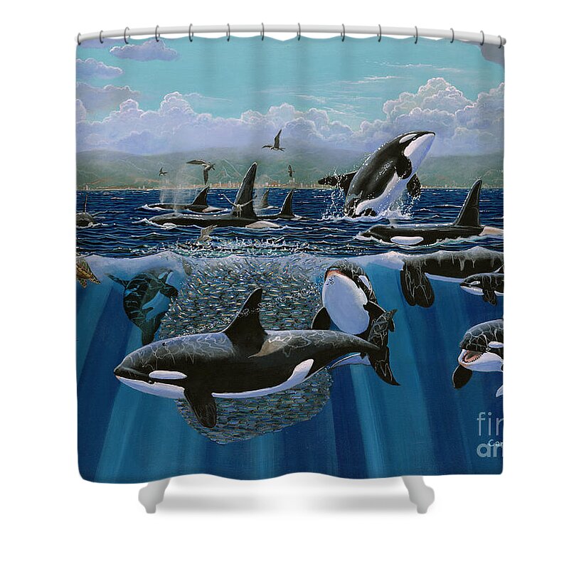 Orca Shower Curtain featuring the painting Orca Play Re009 by Carey Chen