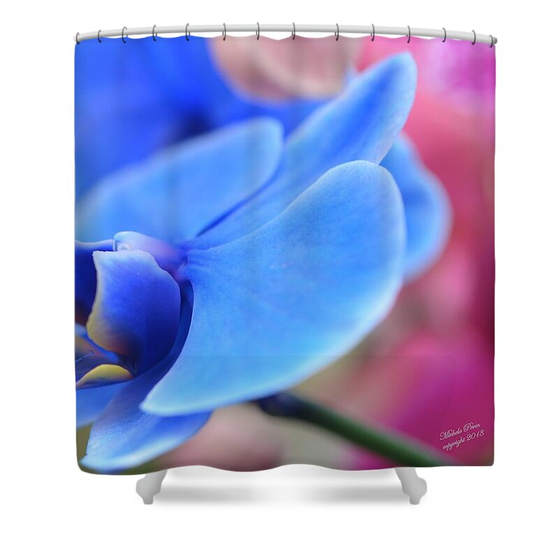 Orchid Shower Curtain featuring the photograph Blue Orchid Peace 2 by Michele Penn