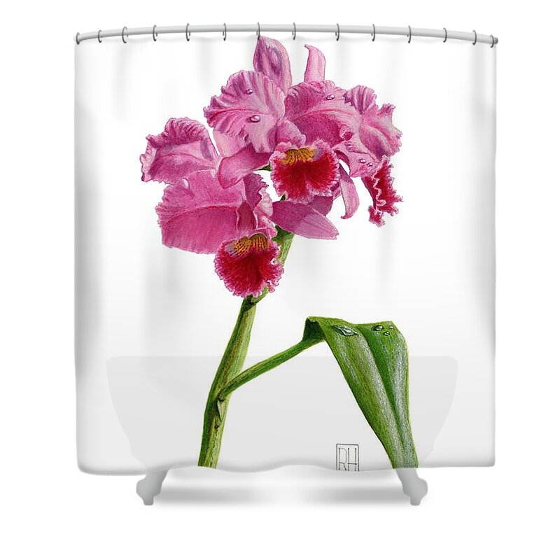 Orchid Shower Curtain featuring the painting Orchid - Lc. Culminant la tuilerie by Richard Harpum