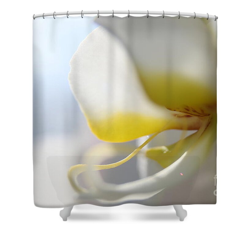 Orchid Shower Curtain featuring the photograph Orchid Melody by Neal Eslinger