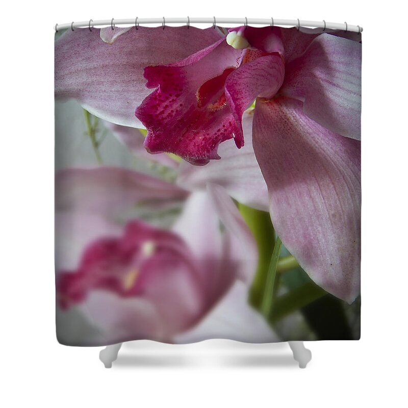 Flowers Shower Curtain featuring the photograph Orchid Pink I Still Life Flower Art Poster by Lily Malor