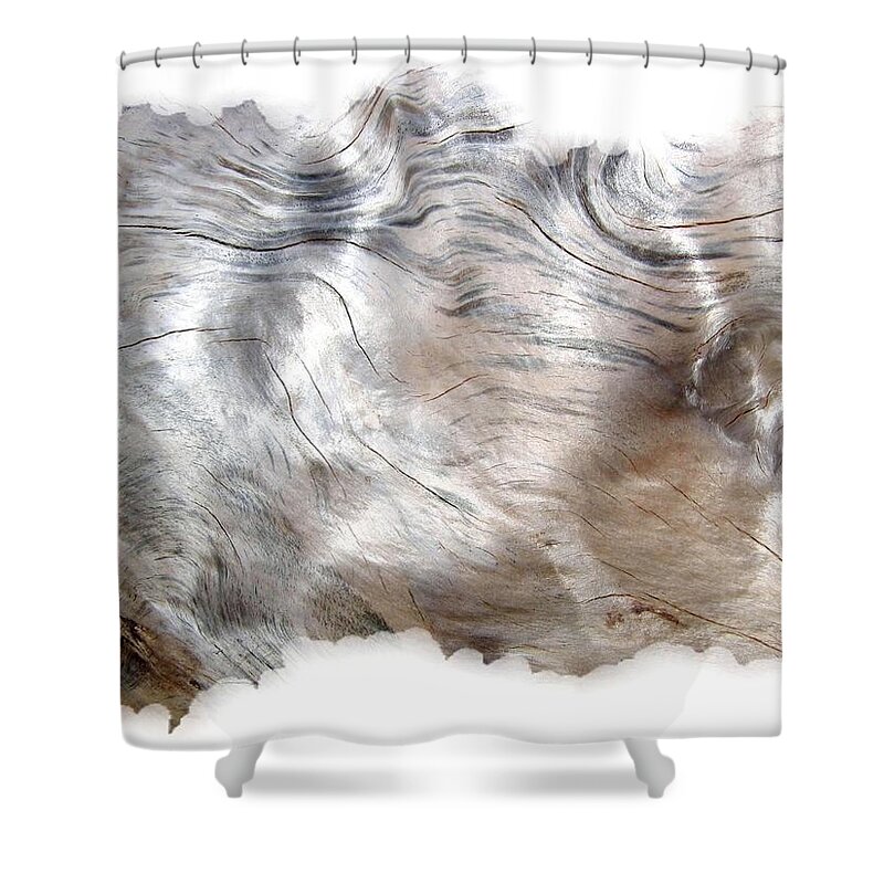 Oregon Driftwood Shower Curtain featuring the photograph Oregon Driftwood by Will Borden