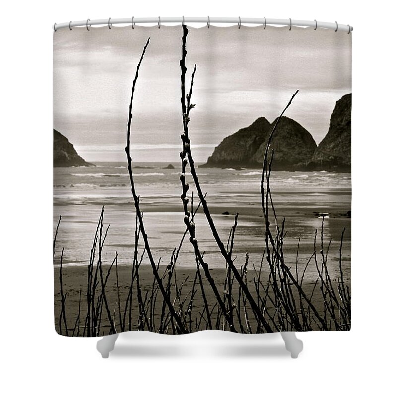  Shower Curtain featuring the digital art Oregon Seascape by Milton Thompson