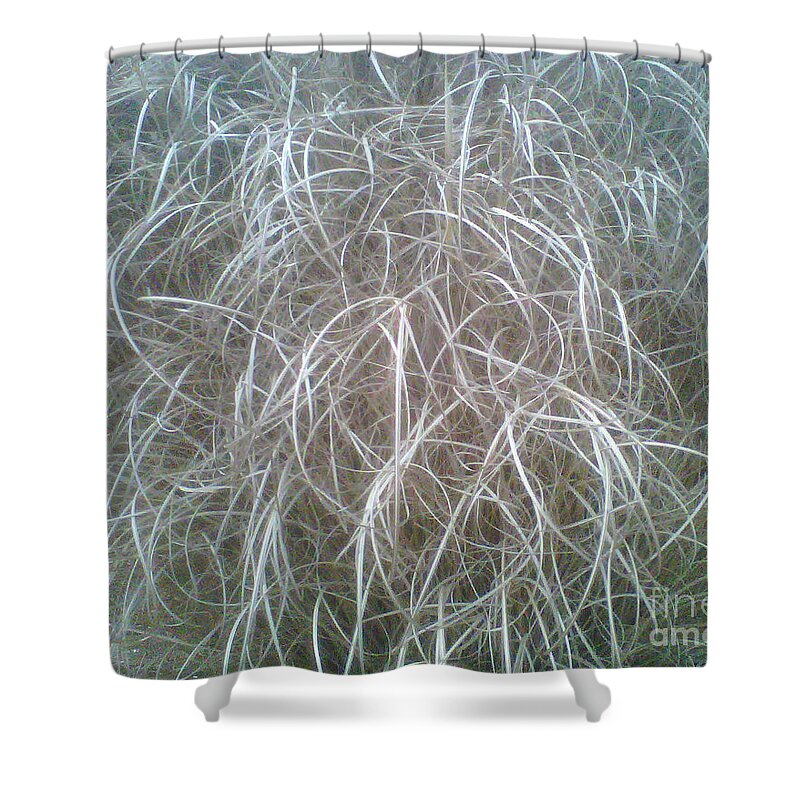 Grass Shower Curtain featuring the photograph Ornamental Grasses 1 by Conni Schaftenaar