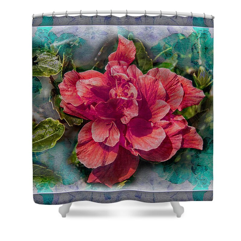 Hibiscus Shower Curtain featuring the photograph Ornamental Marshmallow by Hanny Heim