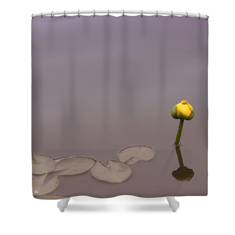 Osaka Shower Curtain featuring the photograph Osaka Garden Tranquility by Miguel Winterpacht