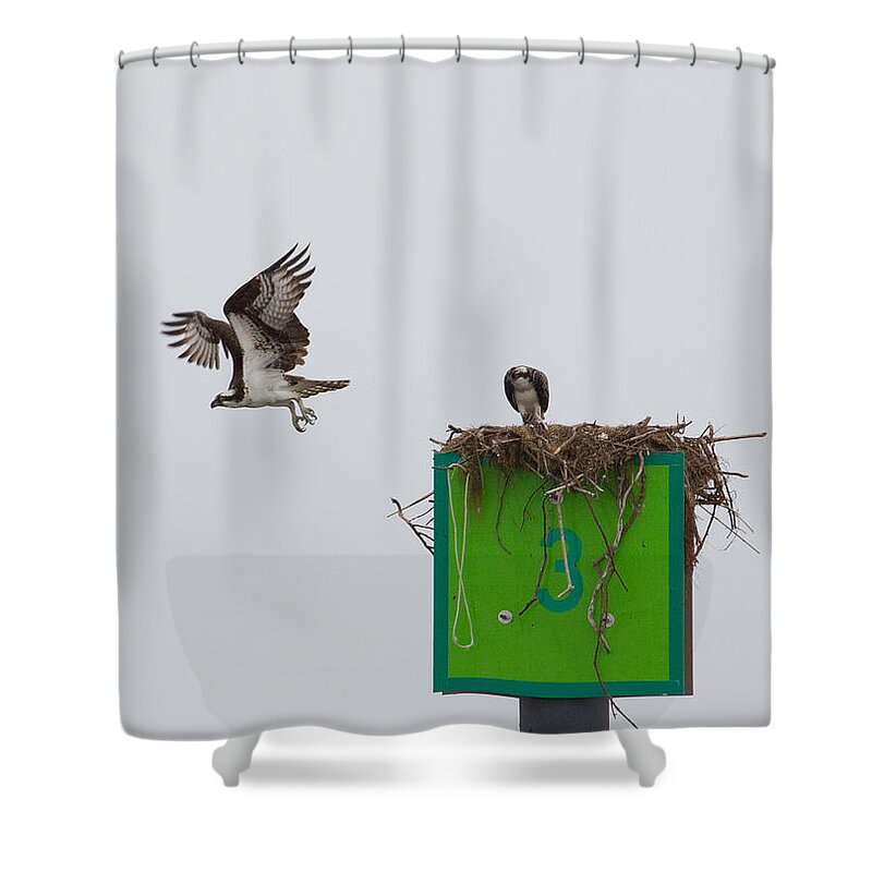 Chesapeake Bay Shower Curtain featuring the photograph Osprey in Flight by Leah Palmer