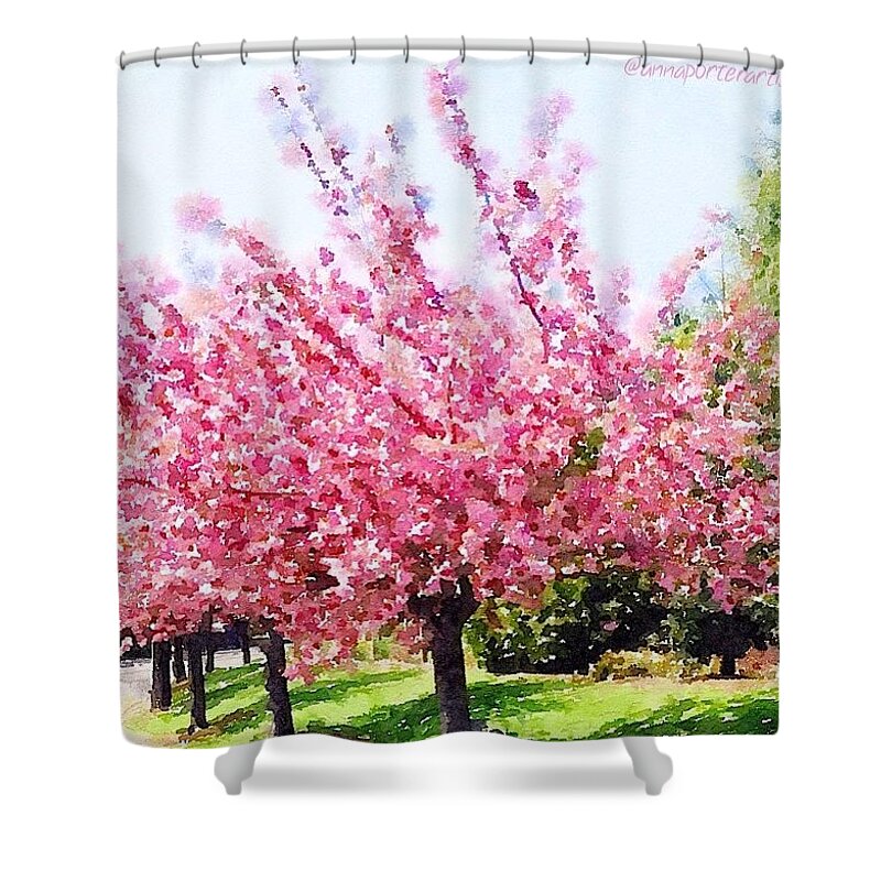 Nothingisordinary_ Shower Curtain featuring the photograph Oswego Pointe Drive Yesterday, April by Anna Porter