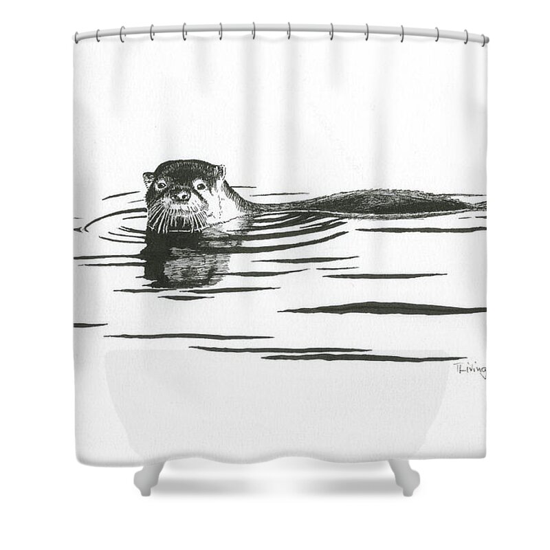 Otter Shower Curtain featuring the drawing Otter In The Water by Timothy Livingston
