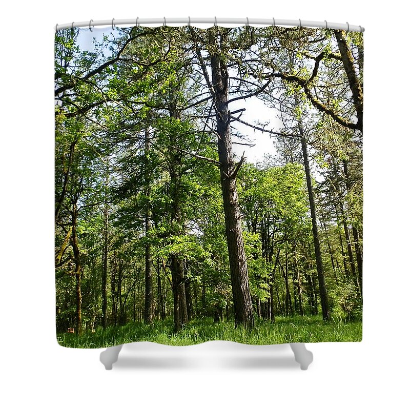 Trees Shower Curtain featuring the photograph Our Backyard Trees by VLee Watson