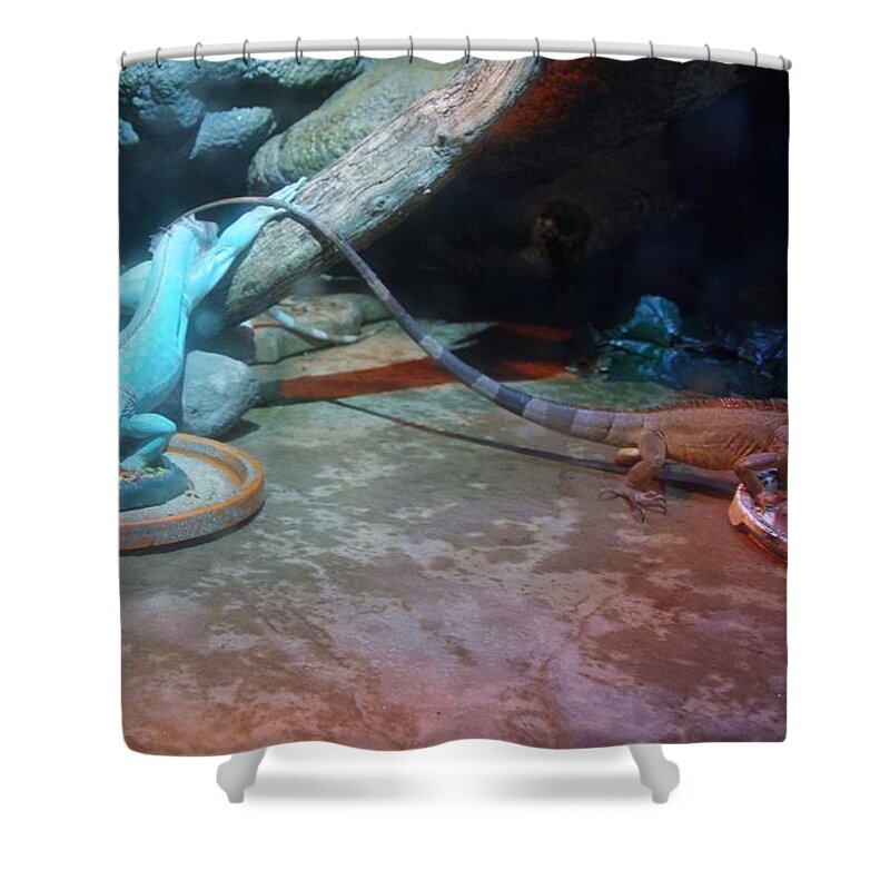 Out Of Africa Shower Curtain featuring the photograph Out of Africa Lizards by Phyllis Spoor