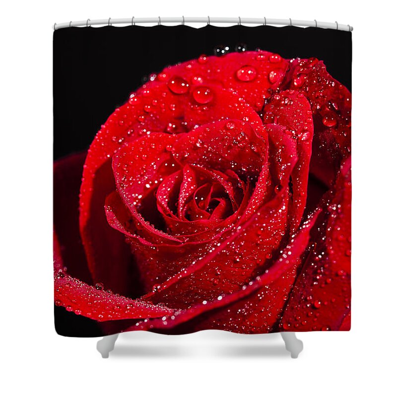 Art Shower Curtain featuring the photograph Out of the Rain by Jon Glaser