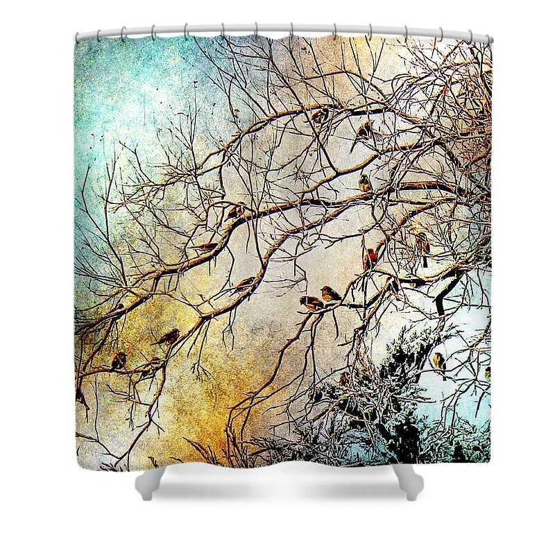 Sparrows Shower Curtain featuring the painting Out On A Limb in Jewel Tones by Barbara Chichester