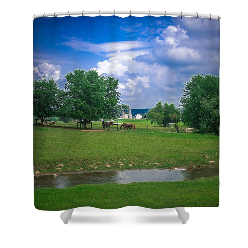 Farm Shower Curtain featuring the photograph Out to Pasture by Joseph Desiderio