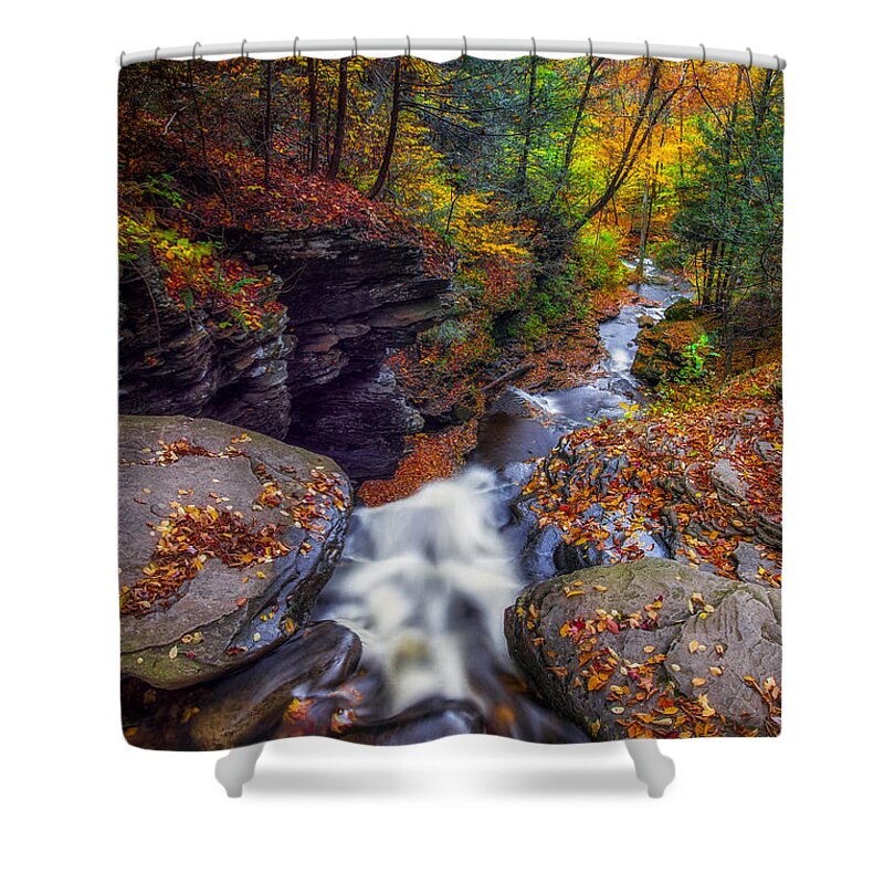Ricketts Glen Kitchen Creek Shower Curtain featuring the photograph Over the falls by Mark Papke