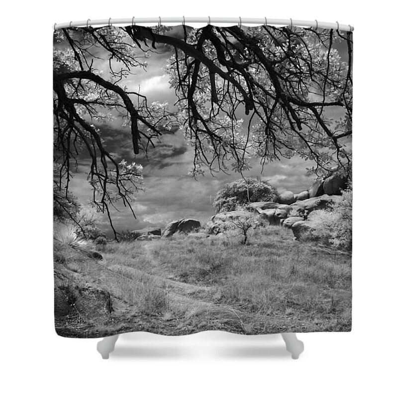 Infrared Shower Curtain featuring the photograph Overhanging Branches by Michael McGowan
