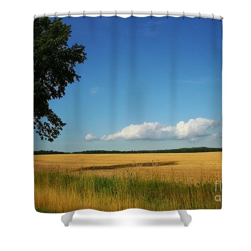 Landscape Shower Curtain featuring the photograph Overseer of the Harvest by Barbara McMahon