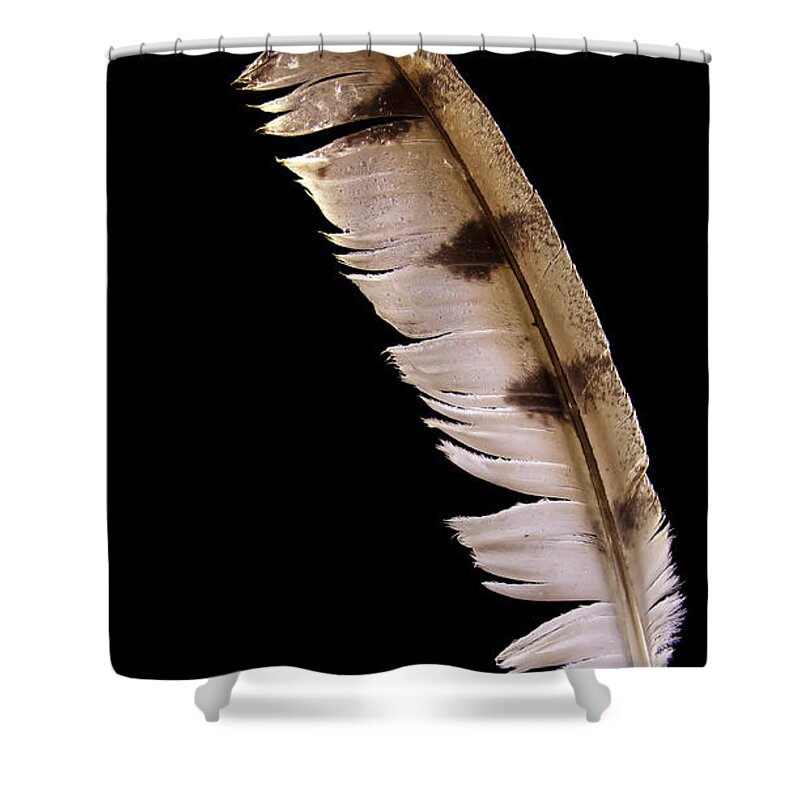 Jean Noren Shower Curtain featuring the photograph Owl Feather by Jean Noren