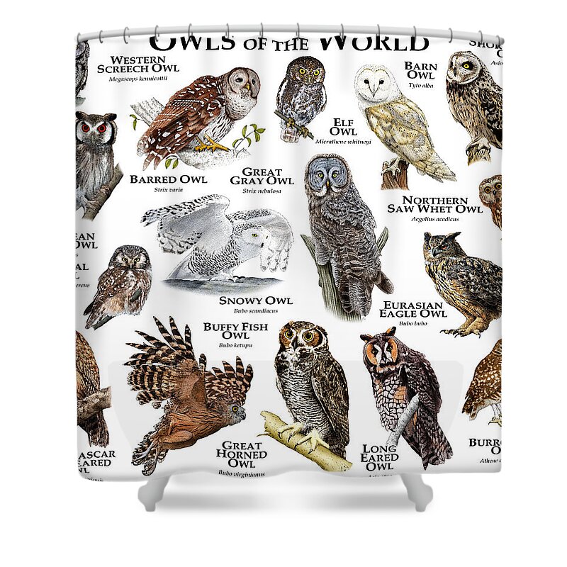 Art Shower Curtain featuring the photograph Owls Of The World by Roger Hall