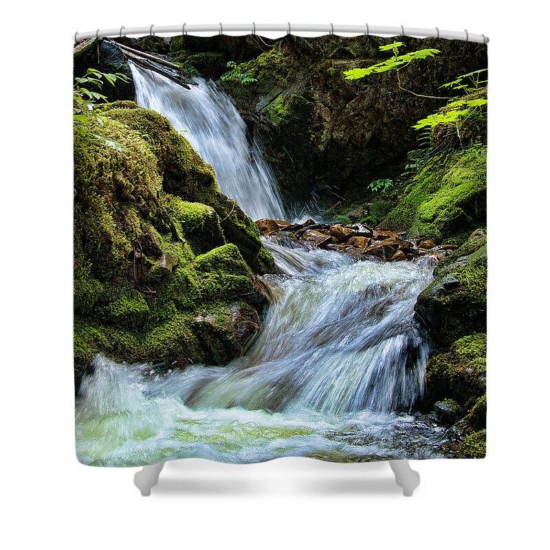 Moss Shower Curtain featuring the photograph Packer Falls vert 1 by Paul DeRocker