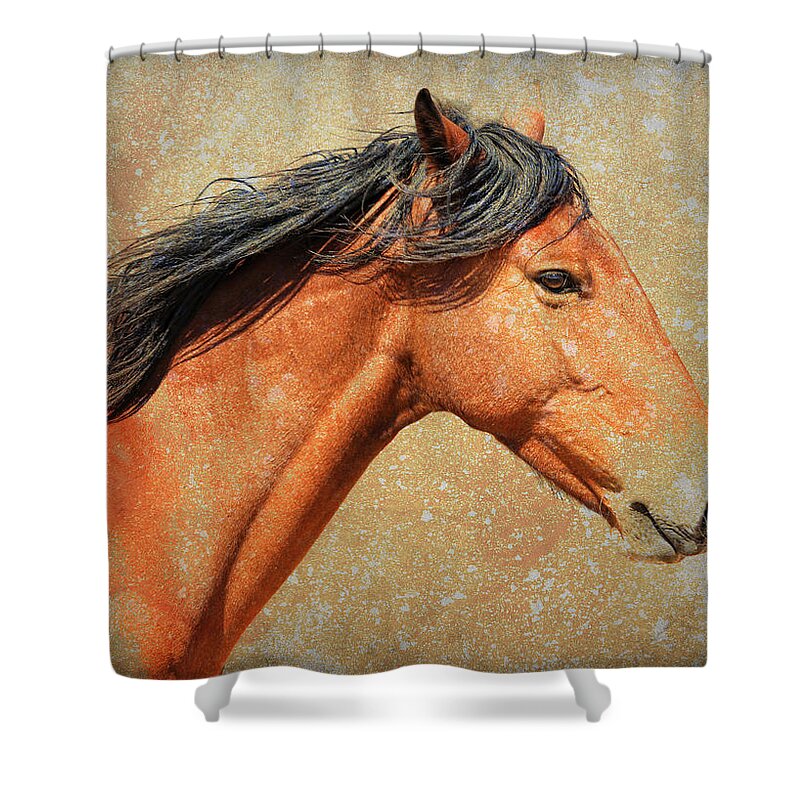 Wild Horses Shower Curtain featuring the photograph Painted by Steve McKinzie