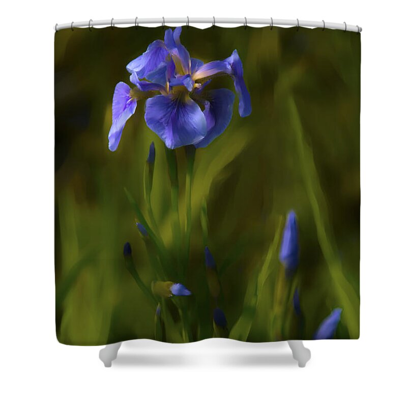 Alaska Shower Curtain featuring the photograph Painted Alaskan Wild Irises by Penny Lisowski