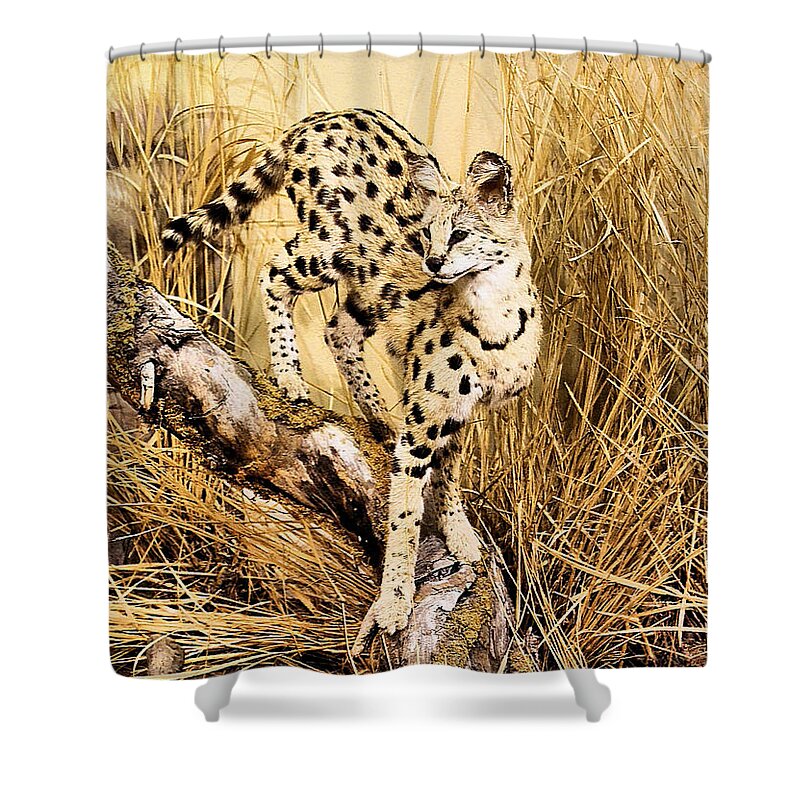 Cheetah Shower Curtain featuring the photograph Painted Cheetah by Kristin Elmquist