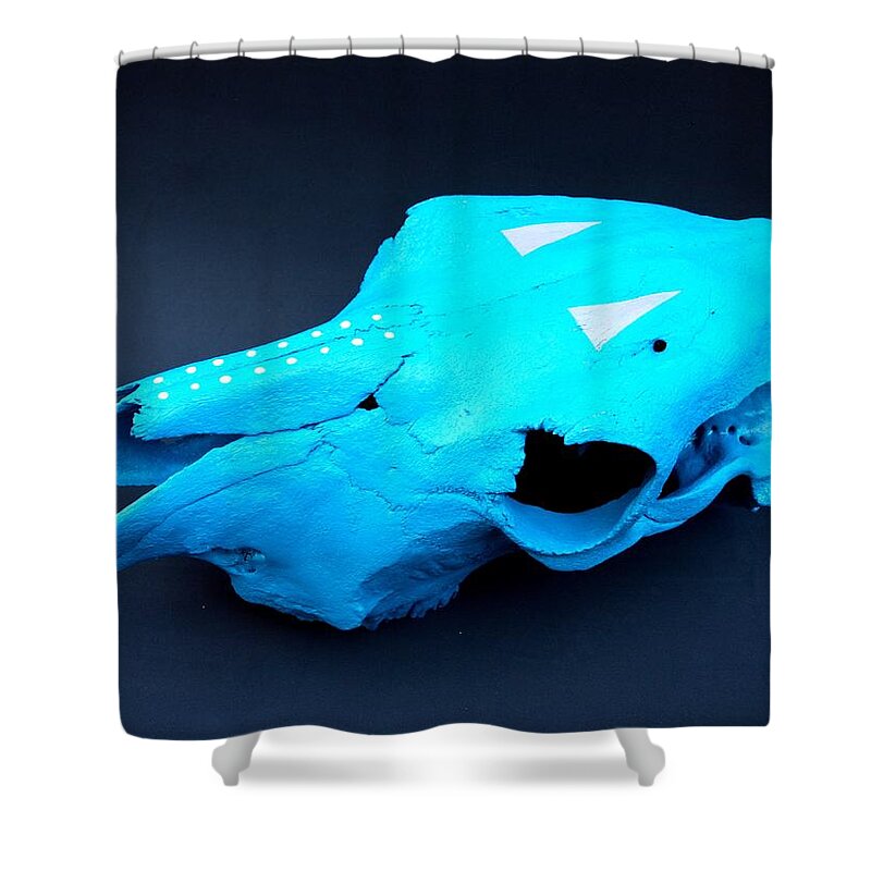 Indian Art Shower Curtain featuring the photograph Painted skull on my table by Robert Margetts