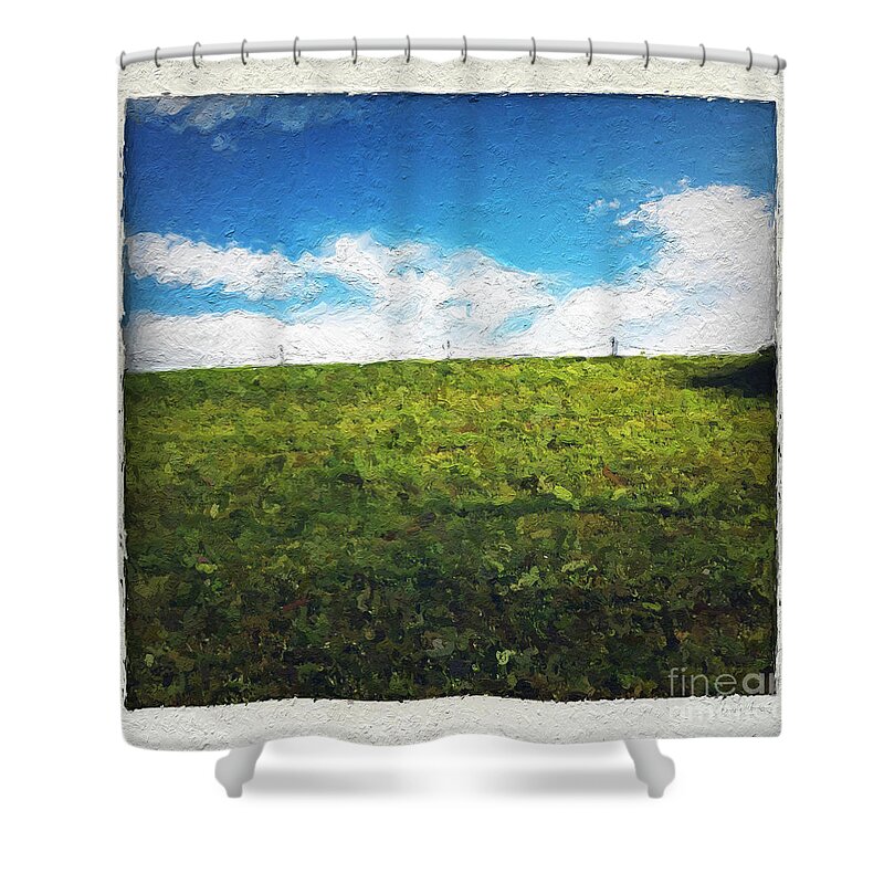 Grass Shower Curtain featuring the painting Painted Sky by Linda Woods
