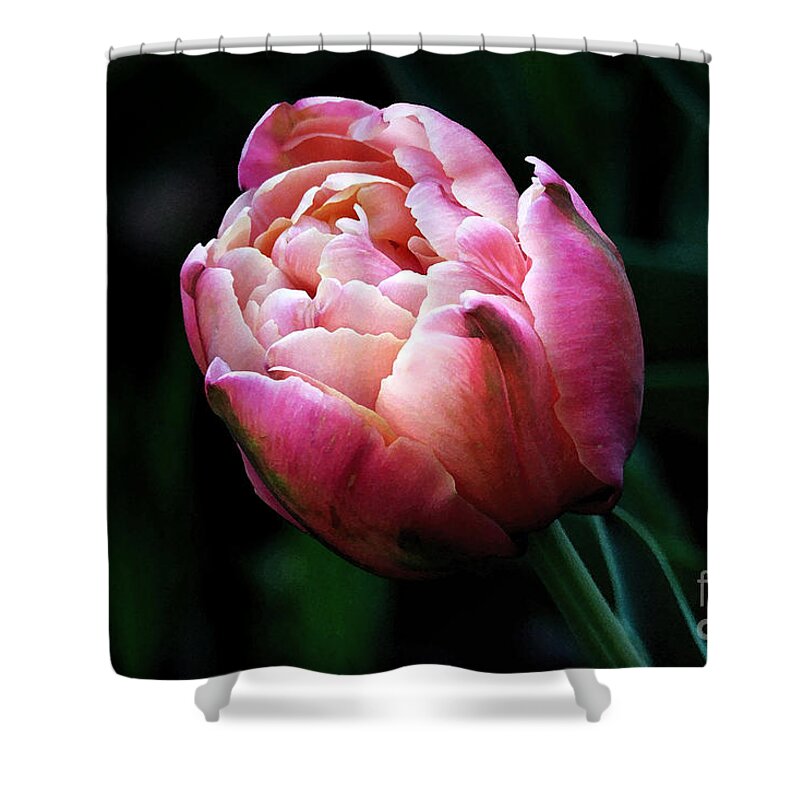Tulip Shower Curtain featuring the digital art Painted Tulip by Trina Ansel