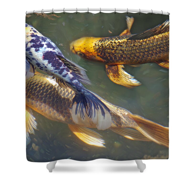 Fishpond Shower Curtain featuring the photograph Painterly Fishpond by Adria Trail